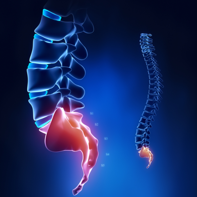Douleur Coccyx & Post-Partum : Le Soulagement Immédiat