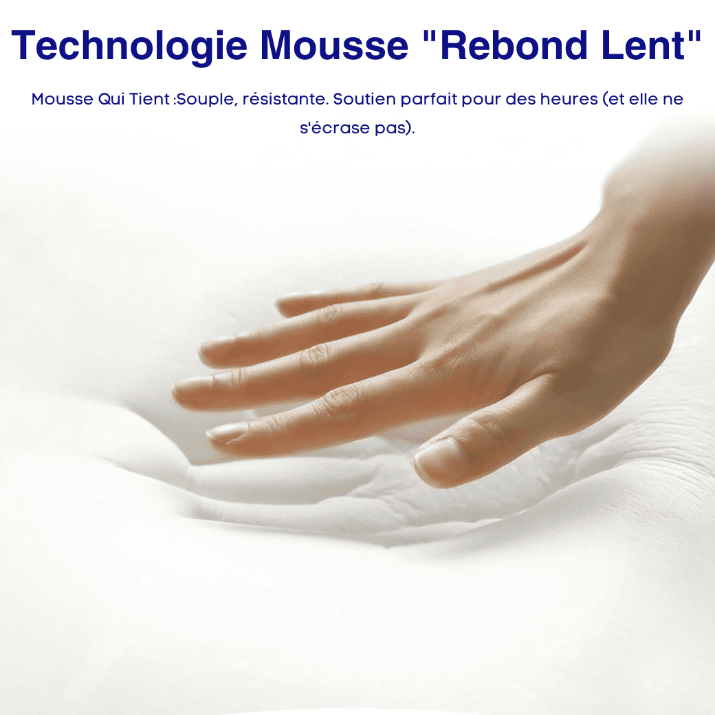 Le Sauveur De Dos PRO - Coussin Lombaire Premium