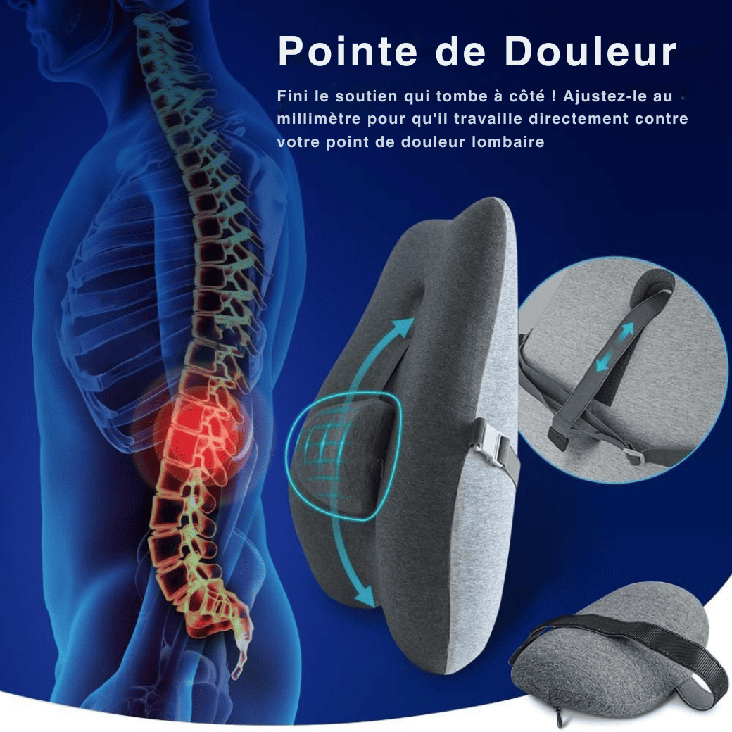 Le Sauveur De Dos PRO - Coussin Lombaire Premium