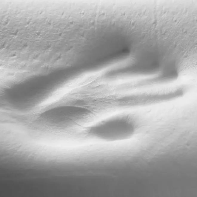 Oreiller Cervical Anti-Torticolis ErgoGood